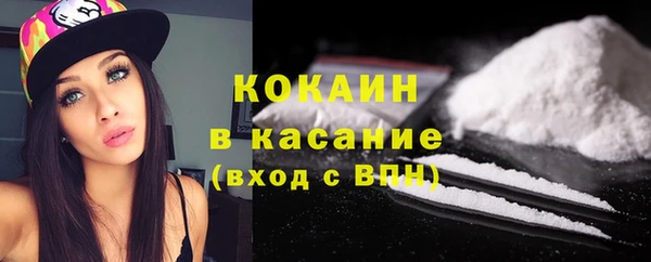 spice Богданович