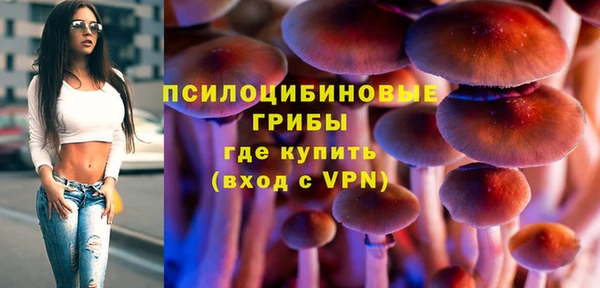 spice Богданович