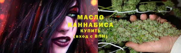 spice Богданович